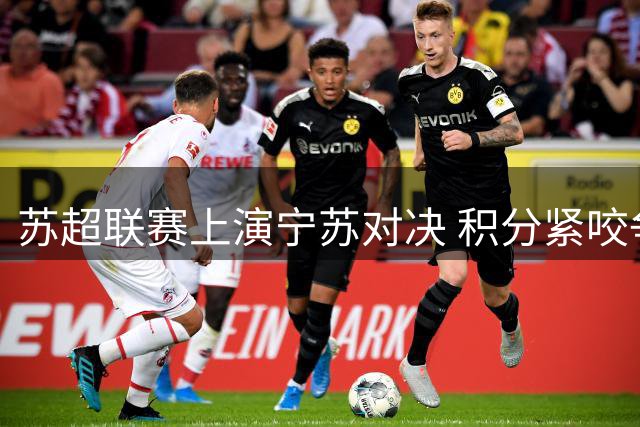 苏超联赛上演宁苏对决 积分紧咬争夺季后赛资格