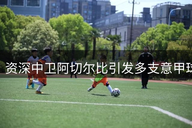 资深中卫阿切尔比引发多支意甲球队竞逐